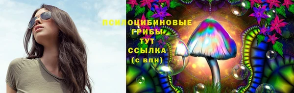 а пвп мука Баксан