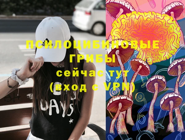 а пвп мука Баксан