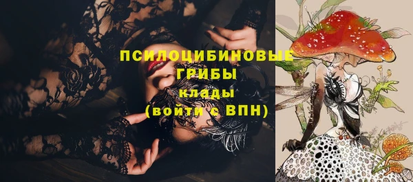 ПСИЛОЦИБИНОВЫЕ ГРИБЫ Балахна