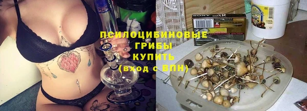 а пвп мука Баксан